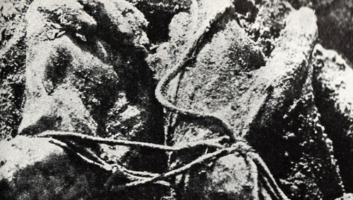 Ręce związane na plecach, tzw. "węzeł katyński"