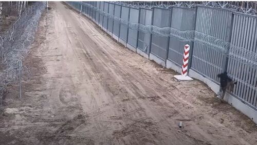 granica polsko-białoruska