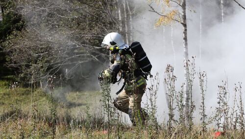 Płonie park krajobrazowy / Zdjęcie ilustracyjne