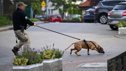Poszukiwania Grzegorza Borysa