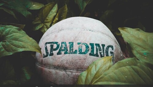 10 błędów w procesie rejestracji znaku towarowego