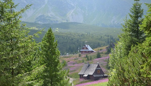Zakopane: Nawet o 70 proc. mniej rezerwacji wakacyjnych niż przed pandemią