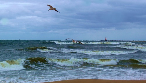 zdjęcie ilustracyjne