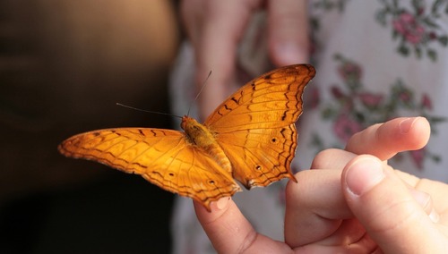 [Tylko u nas] Aleksandra Jakubiak OV: Oswajanie