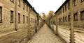Obóz koncentracyjny Auschwitz
