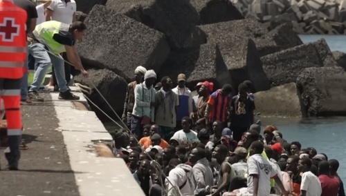 Migranci / zdjęcie poglądowe