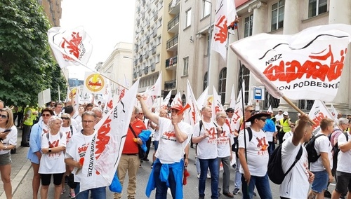 Pikieta - zdjęcie poglądowe