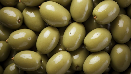 Oliwki. Ilustracja poglądowa