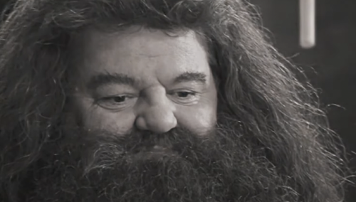 Hagird - kadr z filmy Harry Potter