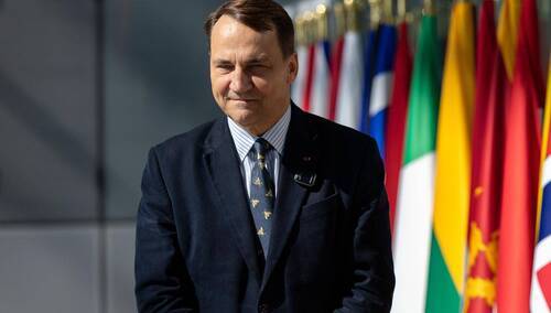 Minister Spraw Zagranicznych Radosław Sikorski