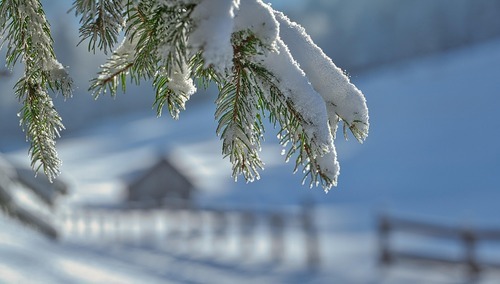 zdjęcie ilustracyjne