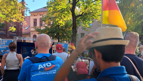 Finisz kampanii wyborczej Afd w Brandenburgii nad Hawelą