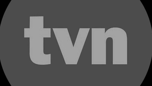 TVN – logo