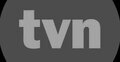 TVN – logo