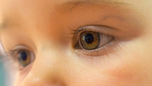 [Felieton "TS"] rosemann: Życie jest cudem 