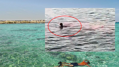 [WIDEO] "Ona umrze, ku*wa". Śmiertelny atak rekina w pobliżu popularnego kurortu. Jest nagranie