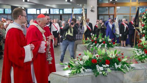 kard. Kazimierz Nycz 