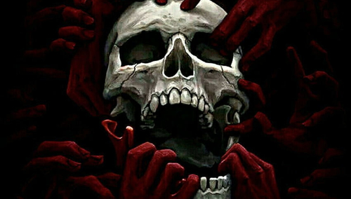 Czaszka. Ilustracja poglądowa