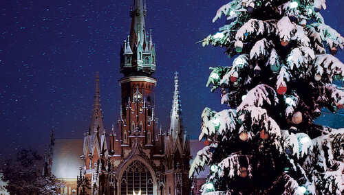 Okładka książki „Choinka. 2000 lat tradycji Bożego Narodzenia”