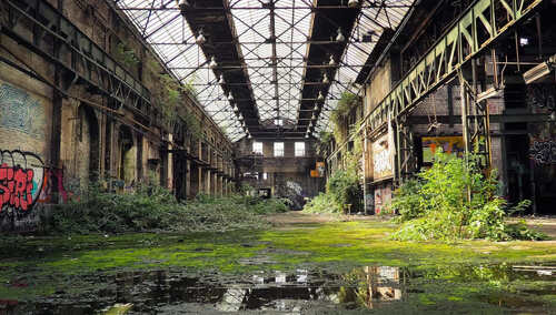 Pusta hala porośnieta roślinnością