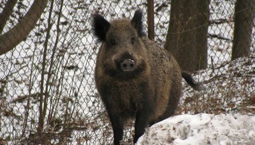 Zdjęcie ilustracyjne