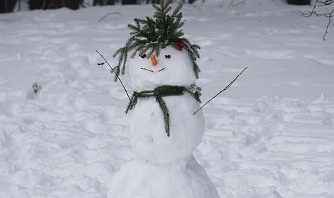 Cezary Krysztopa dla "TS": Teoria konstrukcji bałwanów