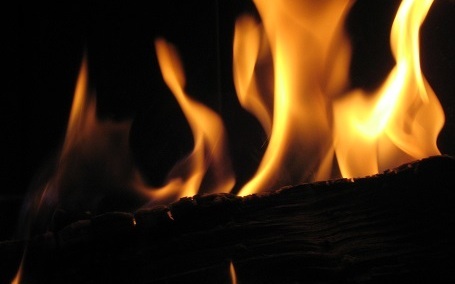 Rafał Górski: Międzynarodowy Dzień Spalania Lasów