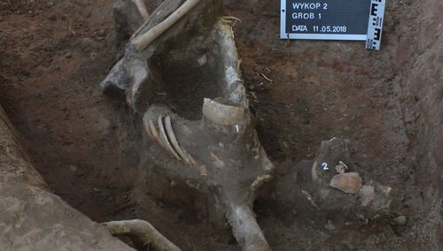 Po 70 latach na Litwie z godnością pochowają żołnierzy AK