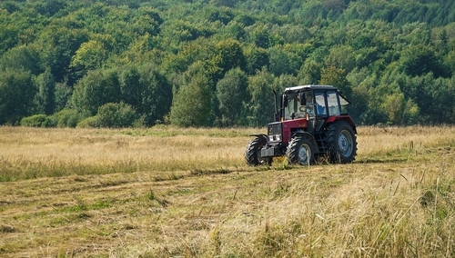 Zbigniew Kuźmiuk: Debata w PE o przyszłości rolnictwa przekształciła się w debatę o wyrównaniu dopłat