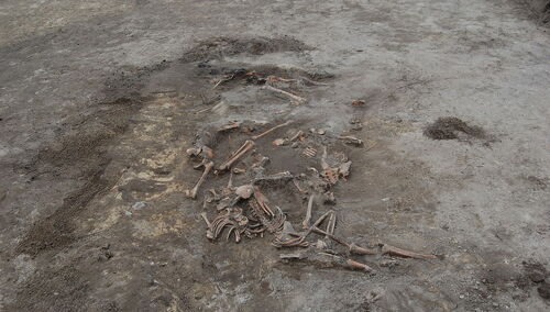 Masowa mogiła ofiar UPA odkryta w Woli Ostrowieckiej