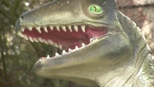 [video] Mieszkańcom Otmuchowa ulżyło. Sprawca ataku na dinozaura oddał się z ręce władz