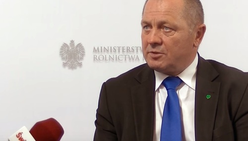 Minister rolnictwa PO/PSL Sawicki w 2015 r.: Będzie wniosek o odstrzał wszystkich dzików na Podlasiu