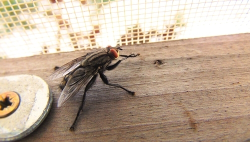 Felieton "TS". Karol Gac: Ten przeklęty ciemnogród!