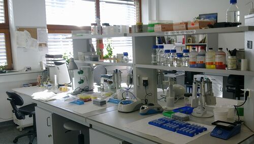 Zuzanna K. Filutowska