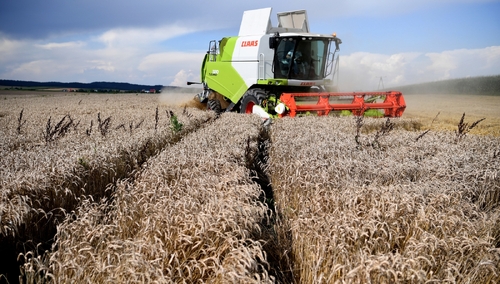 Ekonomista: Polska gospodarka znosi relatywnie dobrze kryzys wywołany pandemią