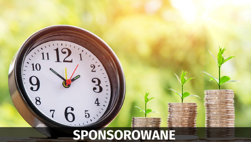 Ubezpieczenie od utraty dochodu – na czym polega?