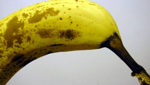 Dyrektor Muzeum Narodowego: Podjąłem decyzję o dalszym eksponowaniu dzieł Natalii LL i Kozyry