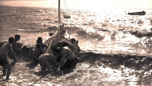 Krysztopa: Arka Prawa i Sprawiedliwości na morzu szaleństwa