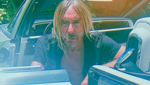 Iggy Pop wraca z nowym albumem. Premiera „Free” jeszcze w tym roku!