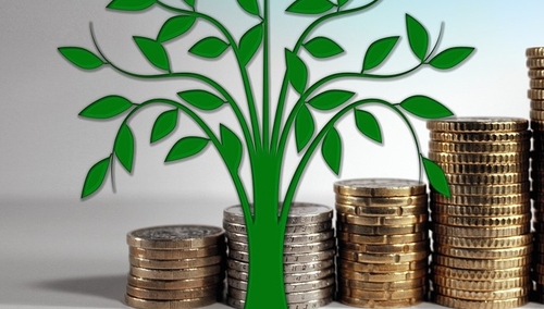 Ewa Zarzycka dla "TS": Kowalski a natura statystyki