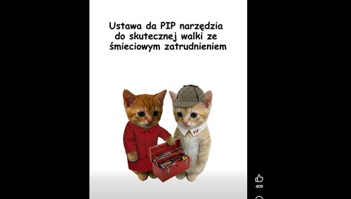 Kotki tłumaczą reformę PIP