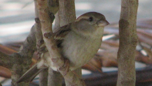 GrzechG: Scenariusz filmu jest z grubsza znany: "Ten rząd i tak musi odejść"