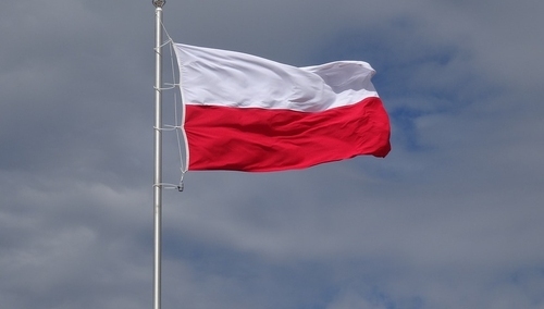 Waldemar Żyszkiewicz: Dyplomatyka i łowy. Gracze, ‘rozgrywacze’ oraz Rzeczpospolita jako pierwsza naiwna