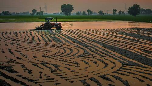 Brak rolnictwa jest wpisany w politykę klimatyczną KE - zdjęcie ilustracyjne