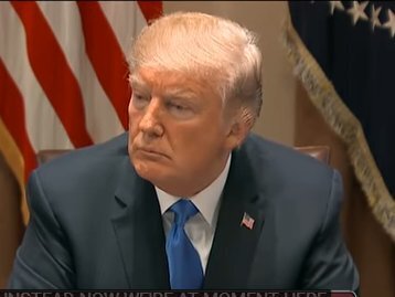 Jacek Matysiak: Trump, żaby, a sprawa polska…