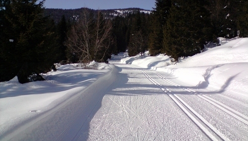 Therese Johaug złapana na dopingu