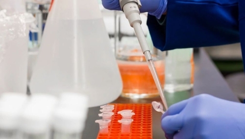 Czechy: Szybkie testy na Covid-19 zakupione w Chinach wykazują poziom błędu sięgający 80 procent?