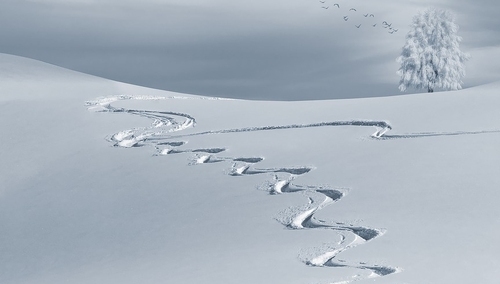 Jerzy Bukowski: Narciarze z procentami