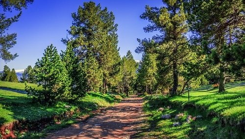 Jutro 15 września. Niedziela wolna od handlu
