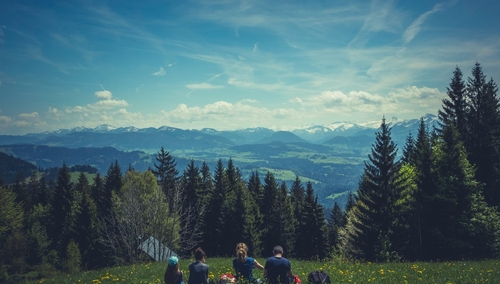 Jutro 21 lipca. Niedziela wolna od handlu